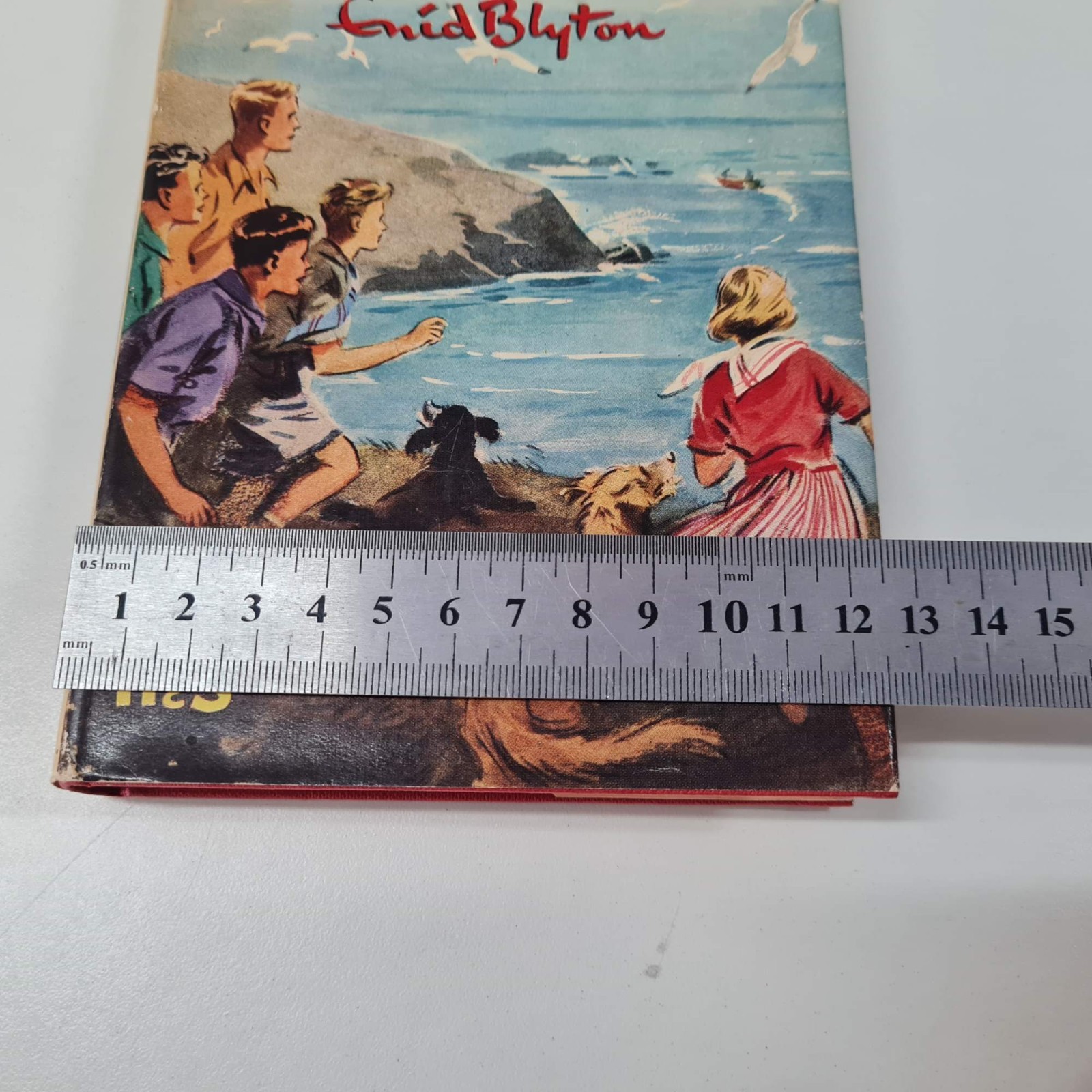 Five Have Plenty of Fun by Enid Blyton HCDJ 1955 1st Edition THE FAMOUS FIVE