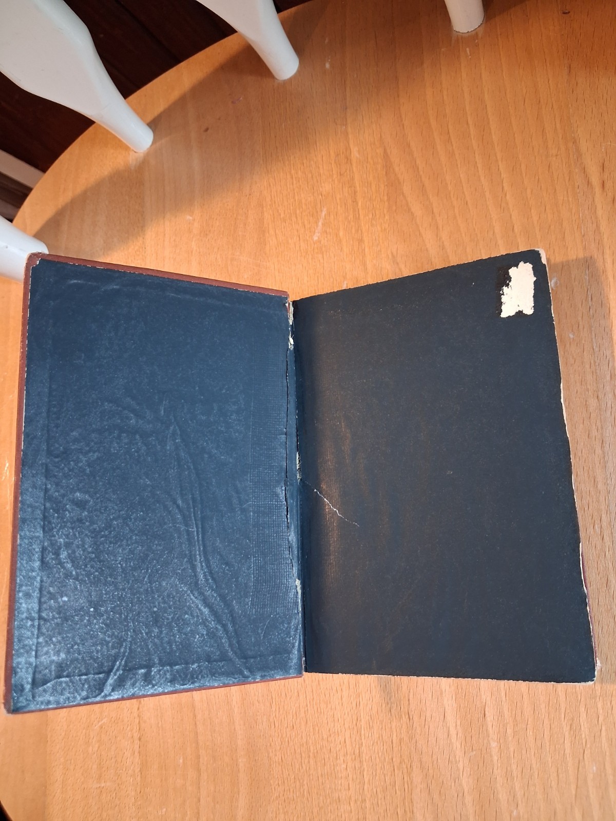 Seashore and Prairie by Mary P. Thacher, First Edition, 1877, James R. Osgood