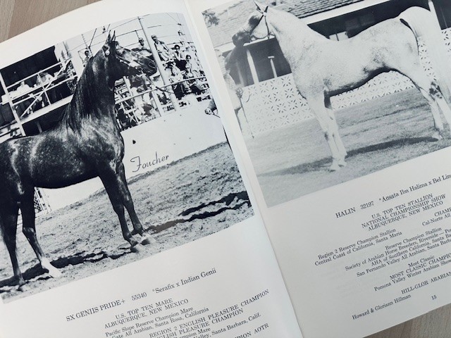 Arabian Horse Yearbook 1974 IAHA Vol XXll Arabian Horse Books / Memorabilia