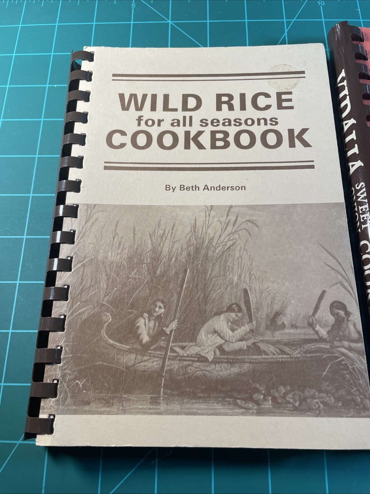 Spiral Bound Cookbook Lot (3) Vidalia Sweet Onion Wild Rice Coffees Teas