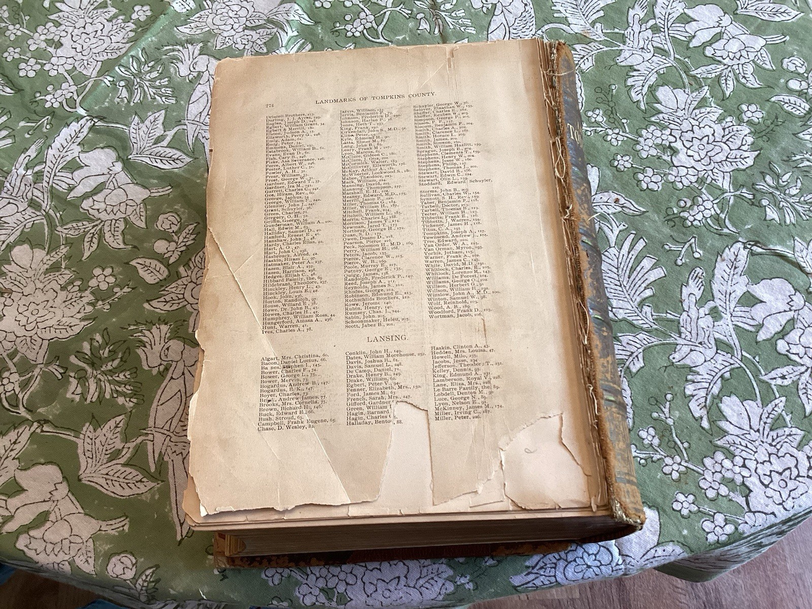 1894 Landmarks Tompkins County W/History Cornell University New York NY Illustra