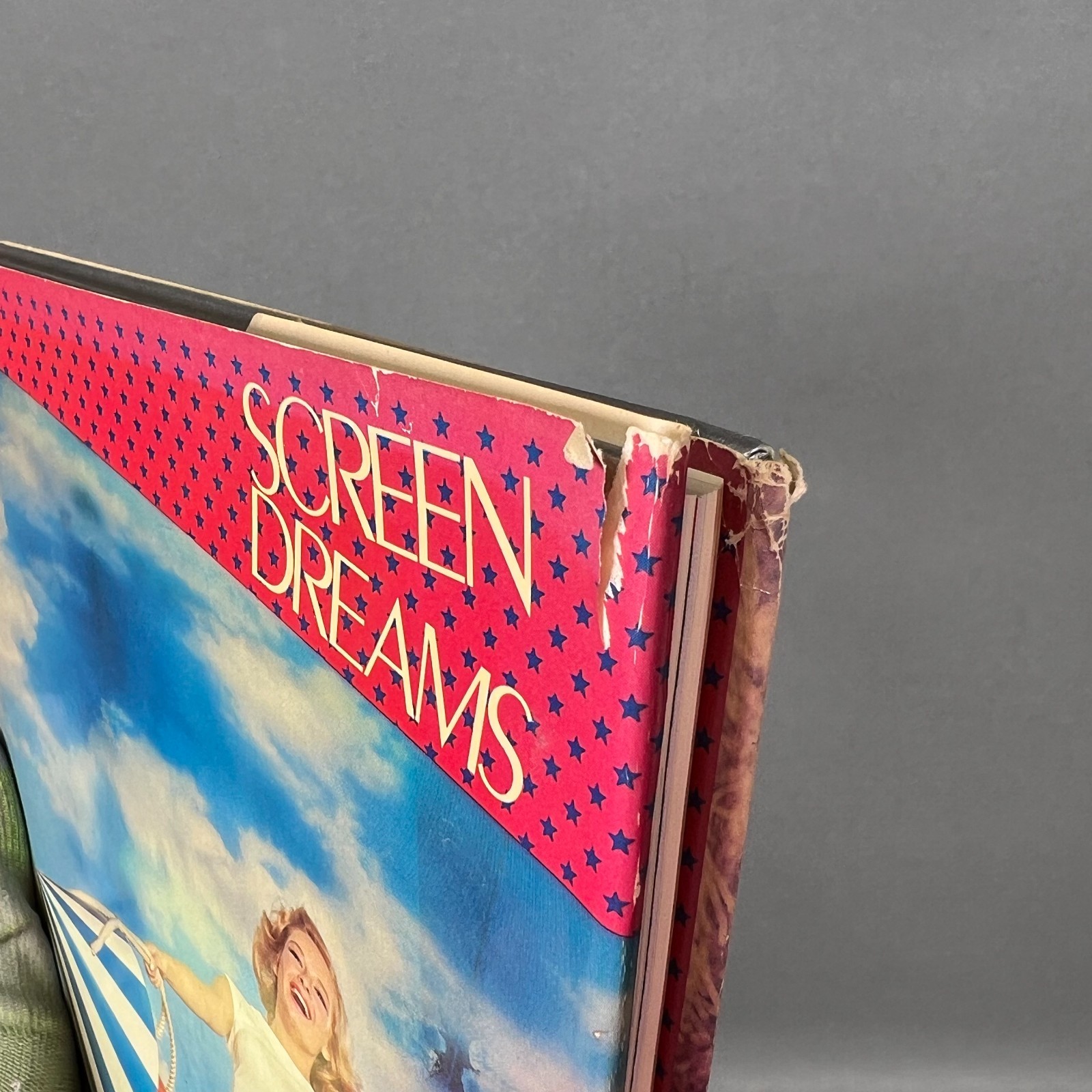 Screen Dreams The Hollywood Pinup Kobal Collection Photos 1ST Printing HARDCOVER