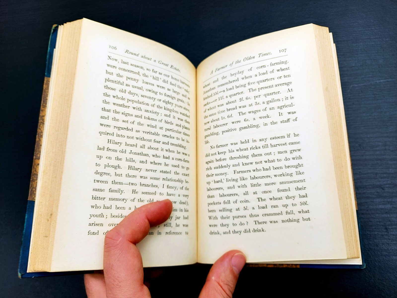 1880 – 1st Ed. – Round About a Great Estate by Richard Jefferies – Fine binding