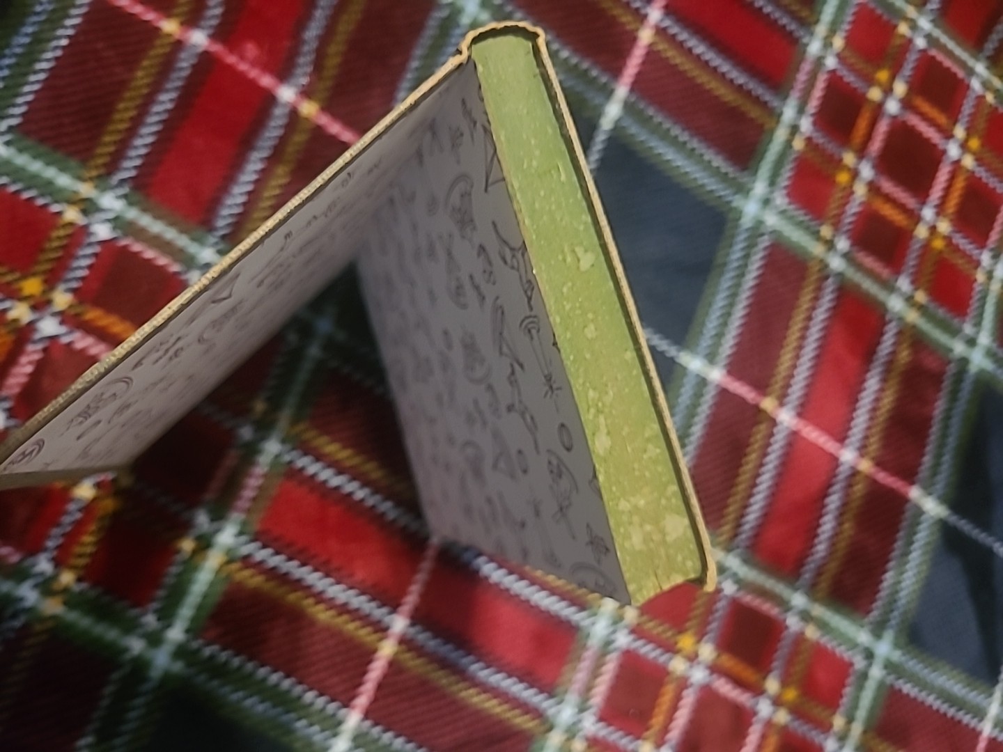 Two Books The Bobbsey Twins