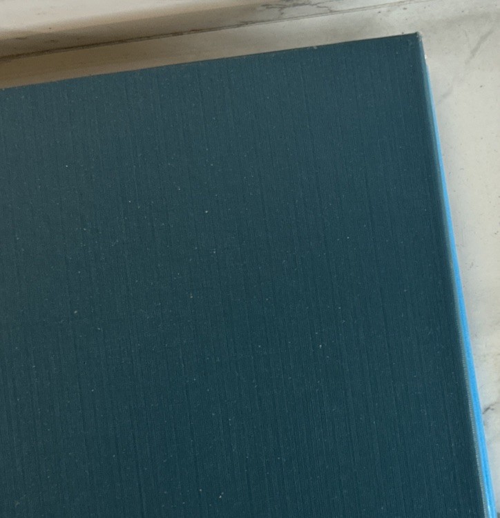 The Aerie J. Sloan McLean • A Children’s Gothic Story • Rare 1st Edition SIGNED