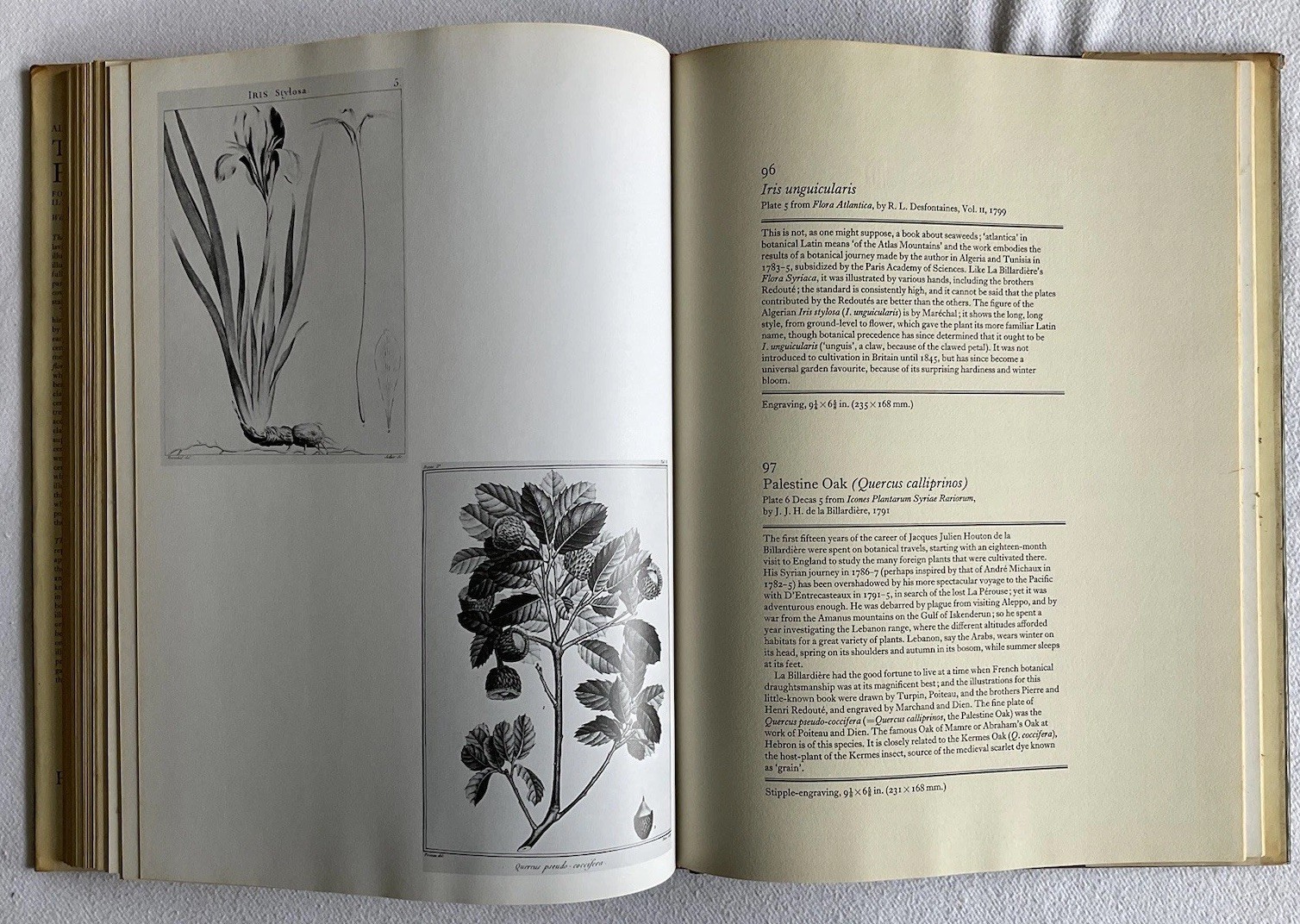 Collectable Vintage The Book of Flowers by Alice M. Coats. Large H/B Book, 1973