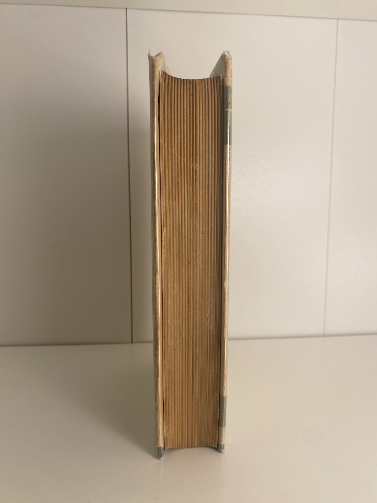 1st Ed Trader Horn Life & Works of Alfred Aloysius Horn Ethelreda Lewis 1927