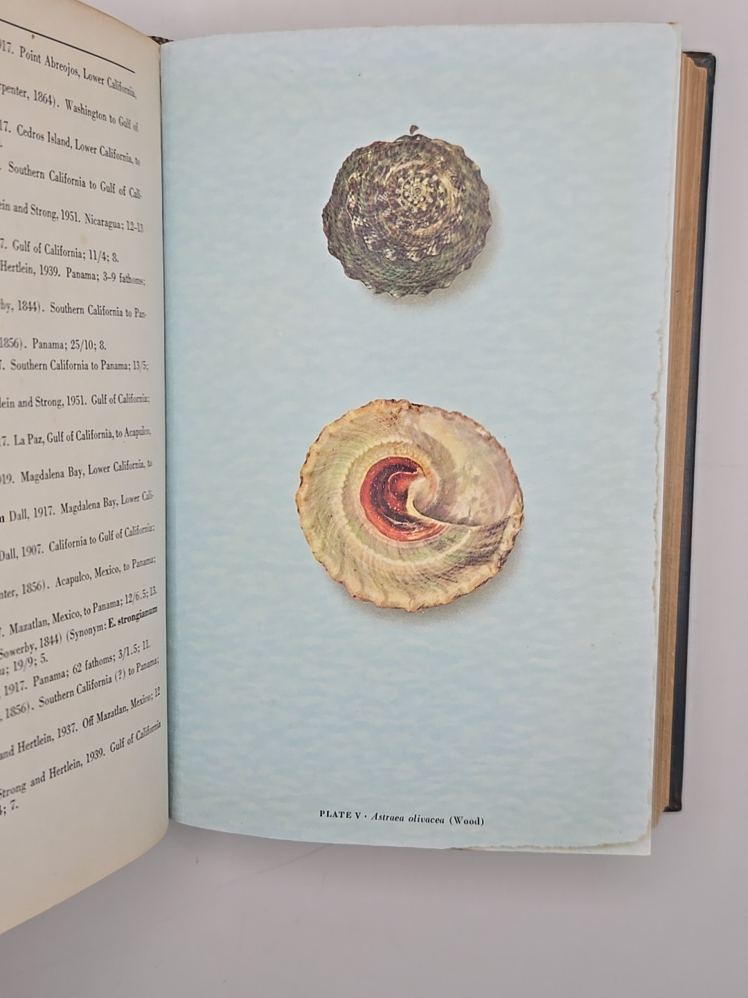 Sea Shells of Tropical West America Keen 1960 Stanford University Press 1960 HC