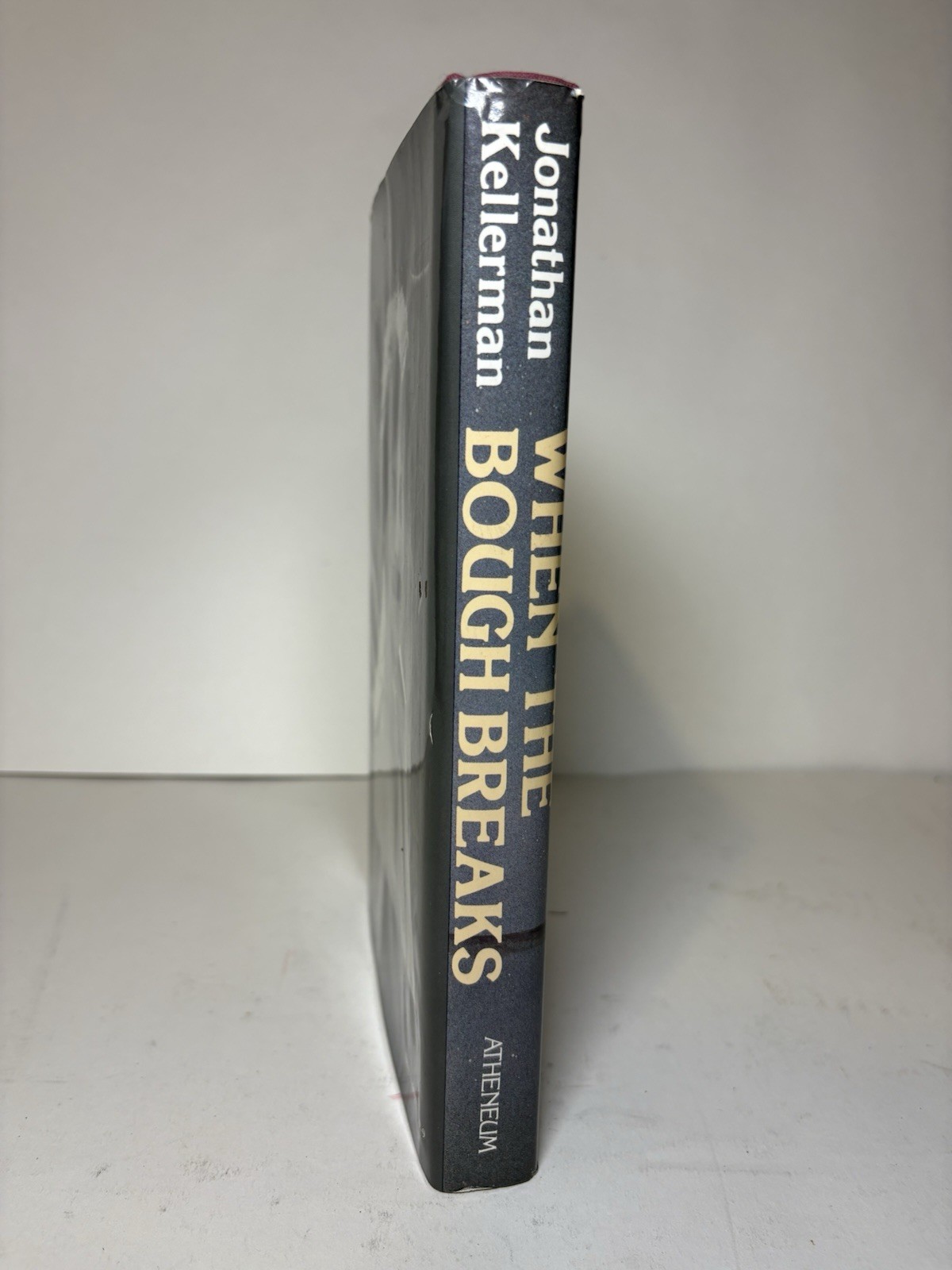 When The Bough Breaks Jonathan Kellerman Hardback First edition