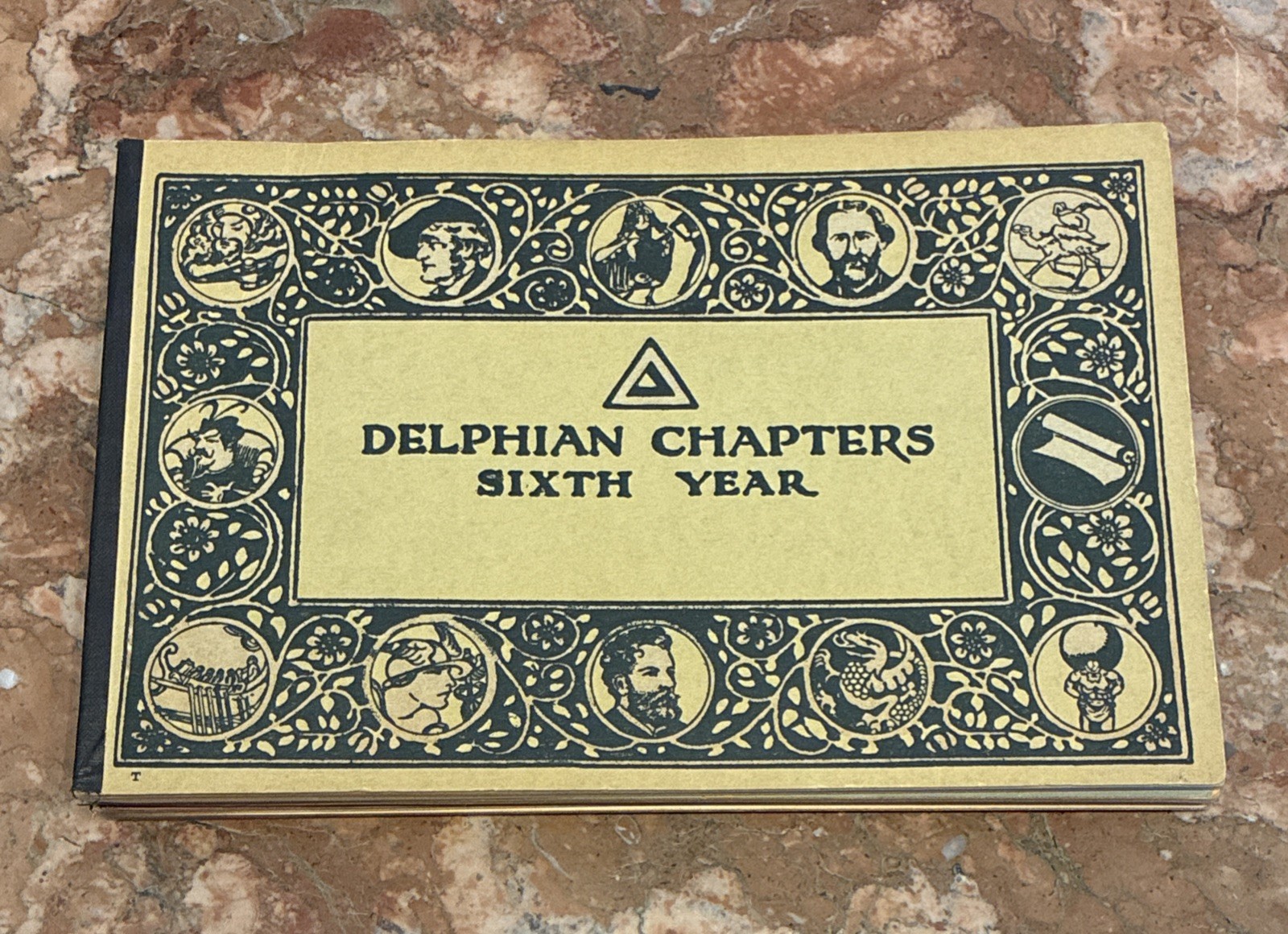 Book Set Delphian Text + Workbooks Women Education Illustrated Antique Complete