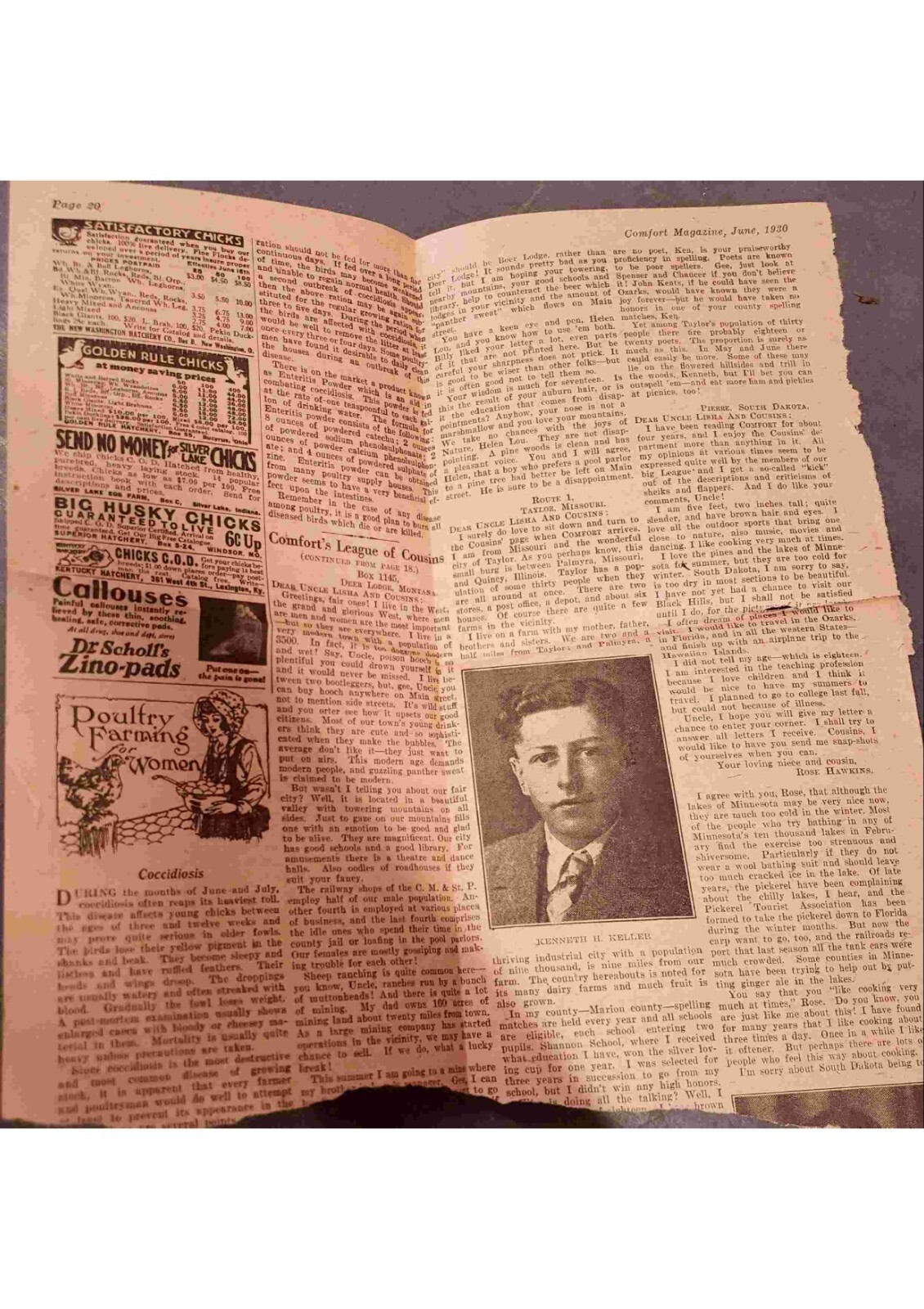 Adams Family Bible (Bible Rescue #905)