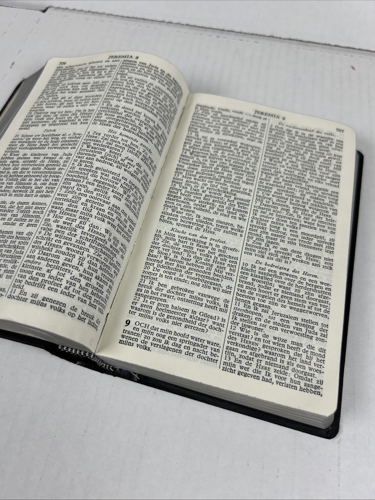 1933 Dutch Bible Bijbel Psalmen Reformed Churches Netherlands