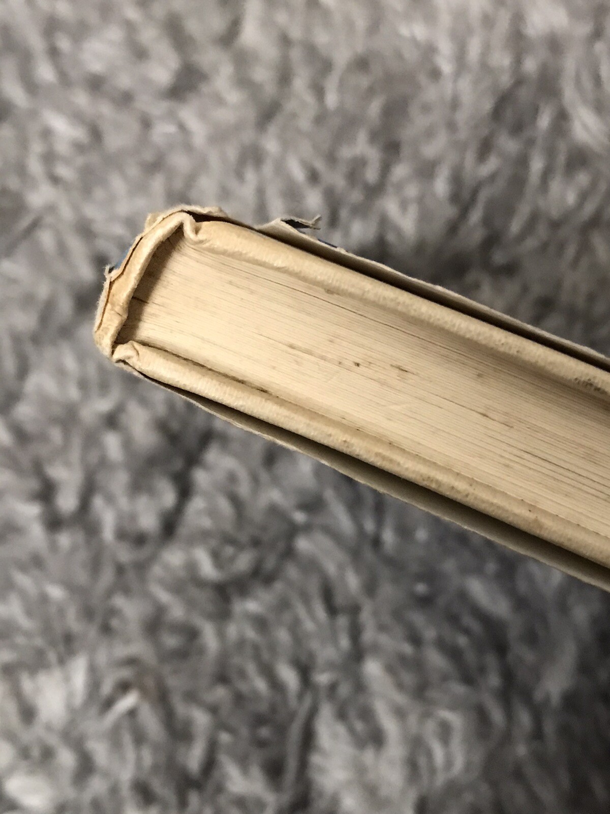 Two in the House (Brock books) – Helen Morgan 1965 First edition. Signed