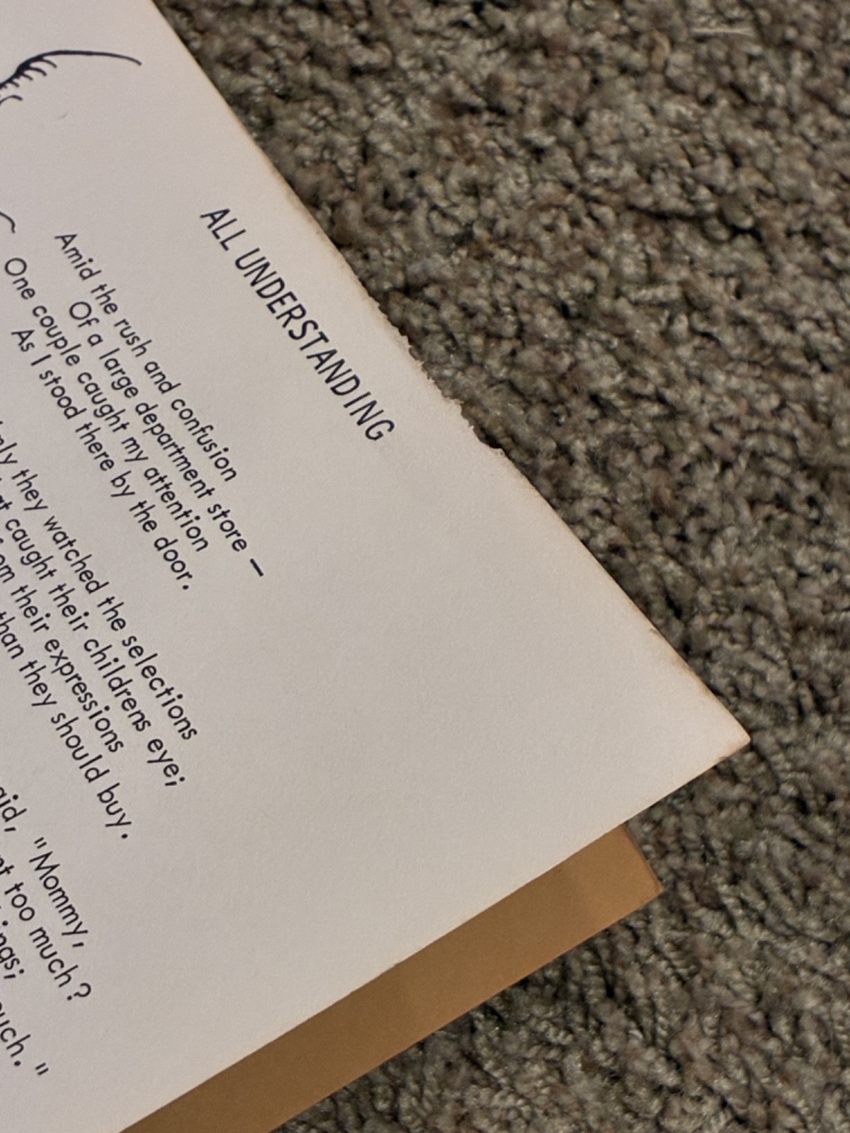 A Forest of Poems by Chambers 🔴 spiral bound book illustrated Vintage 1970