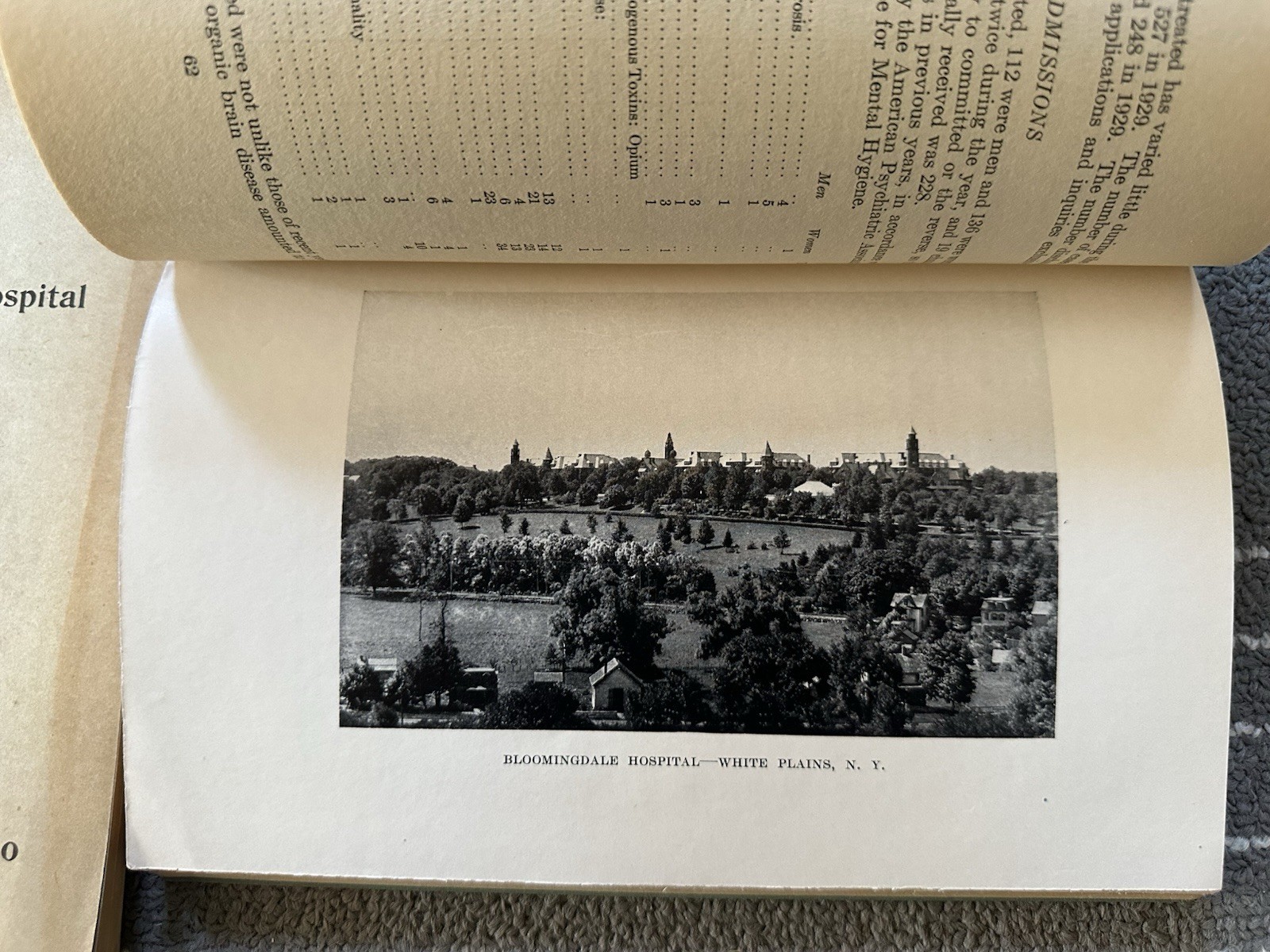 Society Of The New York Hospital / Bloomingdale Asylum Annual Reports NY Insane