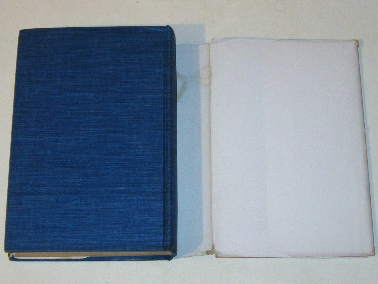 The DAYS GROW COLD by Barbara Turnell Anderson! Rare 1941 Macmillan Co. HCDJ