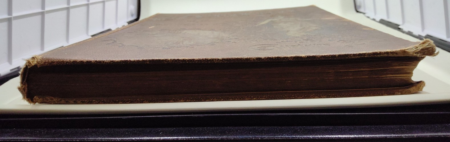 Atala by Chateaubriand 1884 Illustrated by Gustave Dore HC
