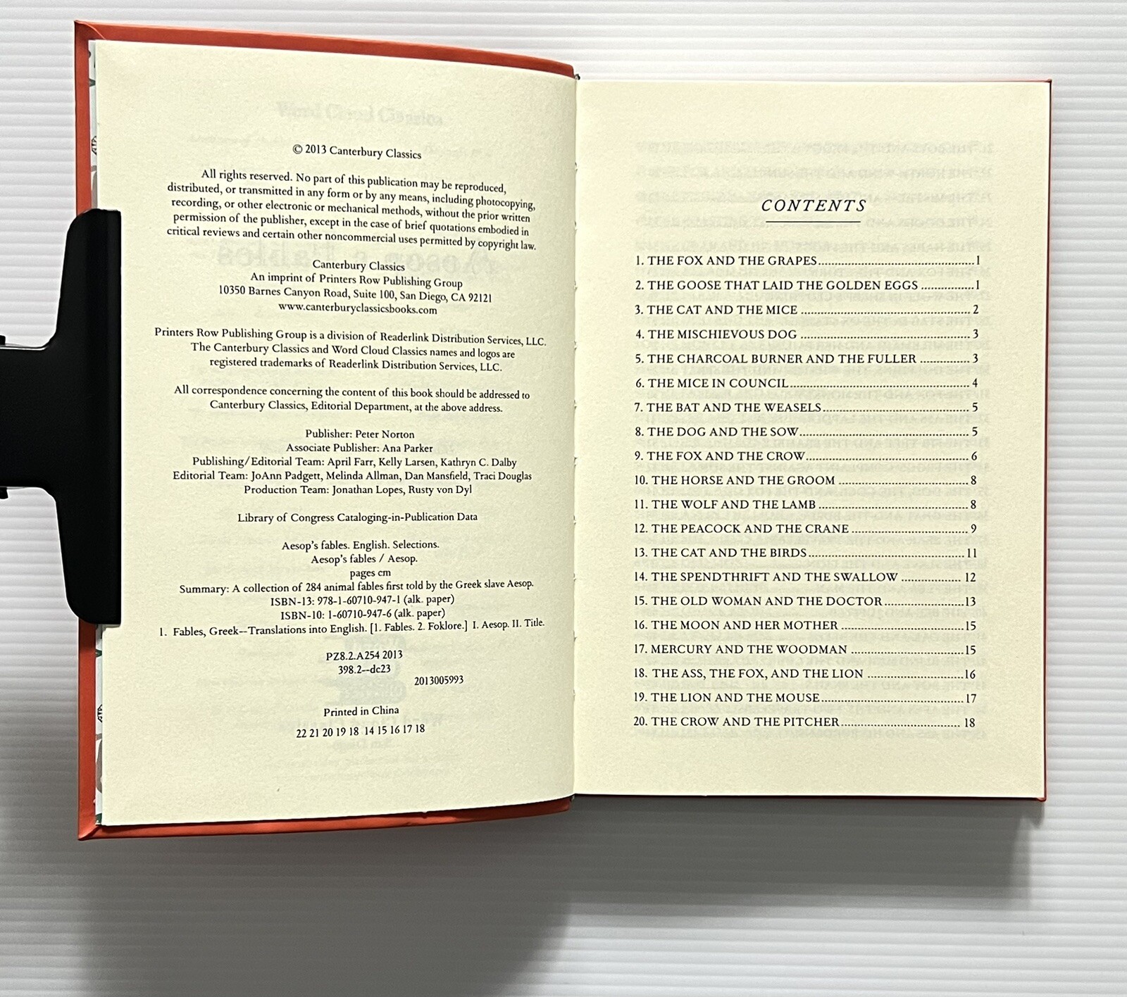 Aesop’s Fables Illustrated by Rackham Word Cloud Classics Faux Leather 2013