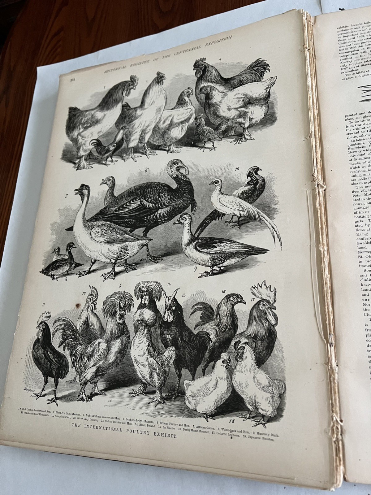 Orig. Frank Leslie’s Historical Register of the Centennial, in Phila. Pa. 320 pg