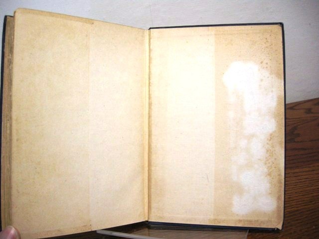 Never Come Morning Nelson Algren First Edition 1942 Chicago Novel Rideout Title
