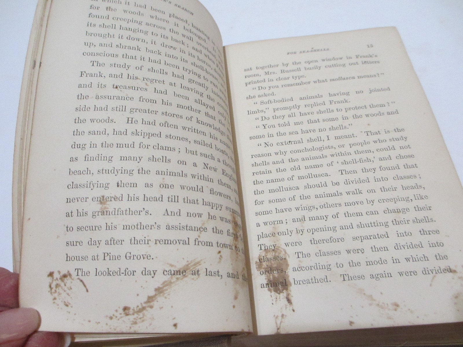 RARE 1866 ANTIQUE BOOK SEA SHELLS FRANK’S SEARCH FOR CONCHOLOGY STUDY ENG PLATES