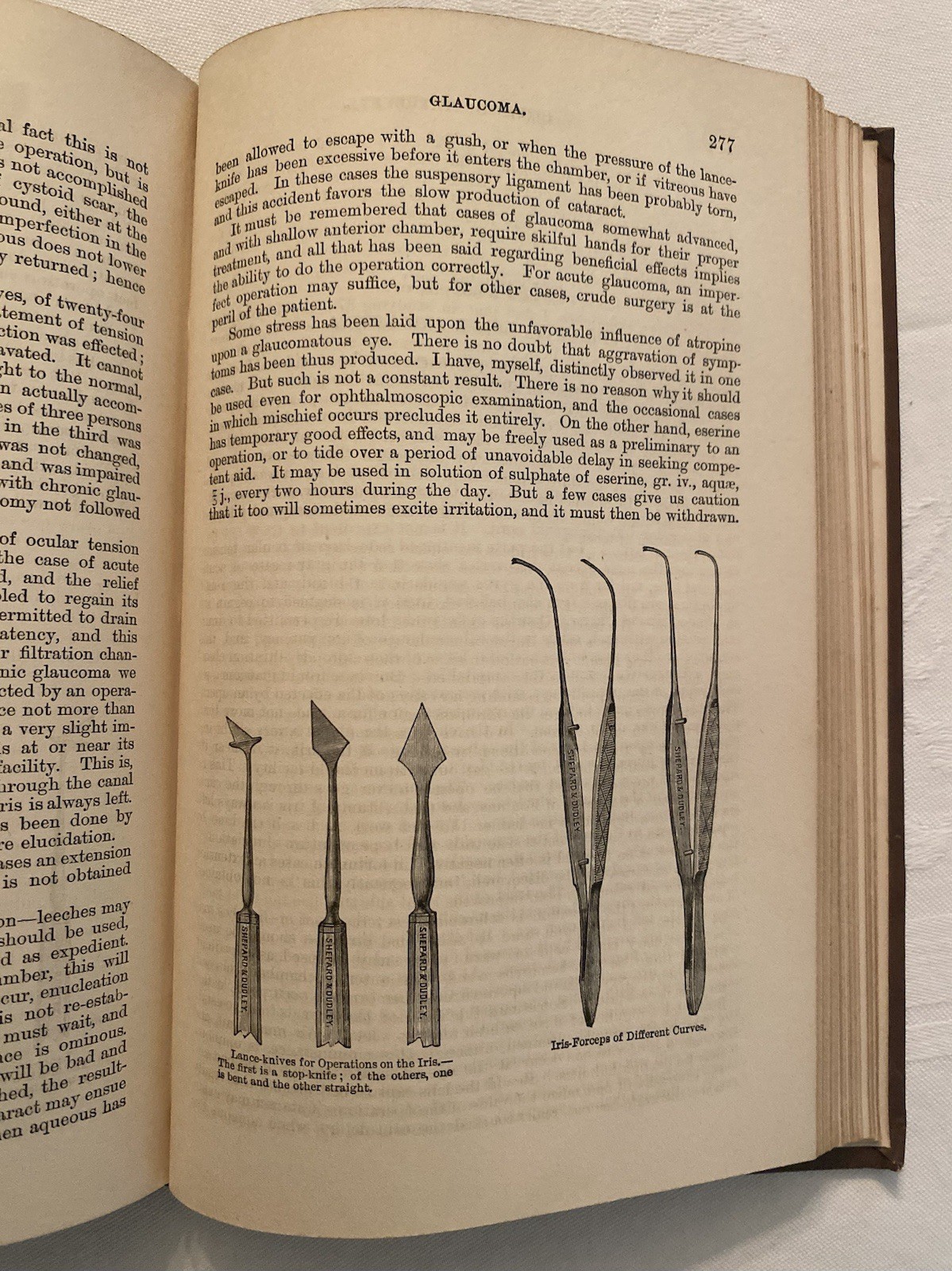 Wood’s Library Of Standard Medical Authors 1881 Diseases Of The Eye 360 Pages