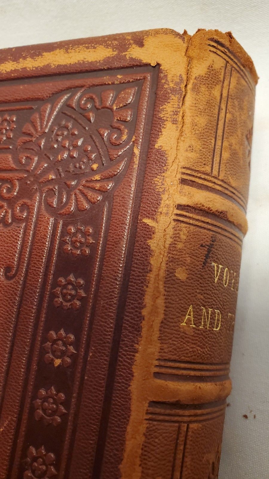 Voyages & Travels L. De Colange Vols 1 & 2 1887 1st Edition FULL LEATHER, GILT