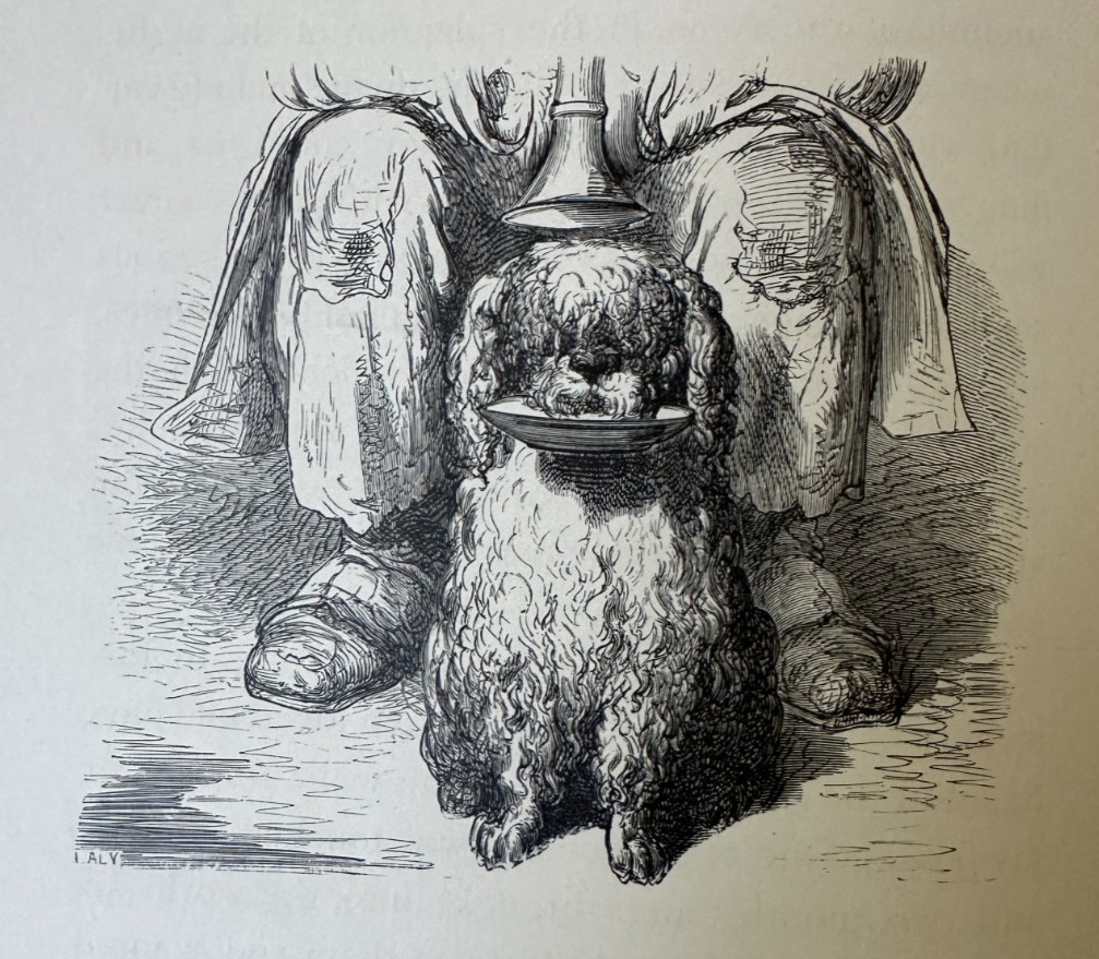 Hippolyte TAINE & Gustave DORÉ / Tour Through the Pyrenees 1st Edition 1874 HOLT