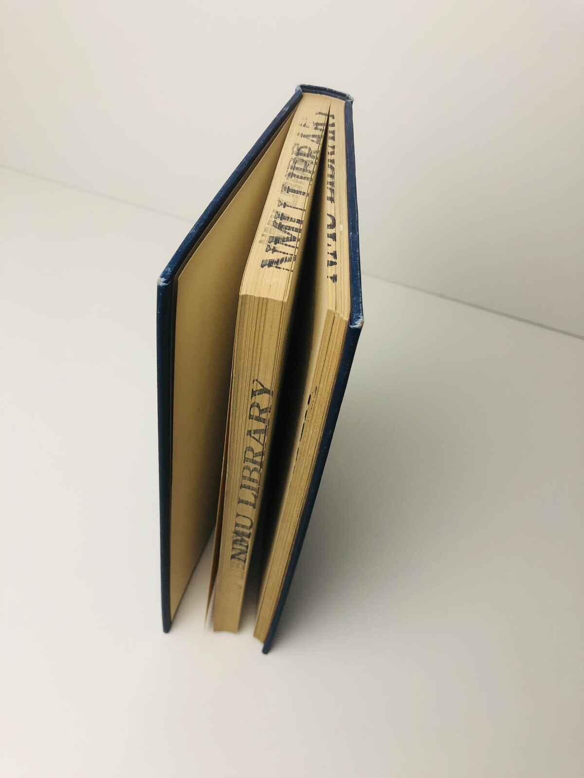 1925 Social Psychology Dunlap 1st Ed Williams Welkins Press Hardcover HC