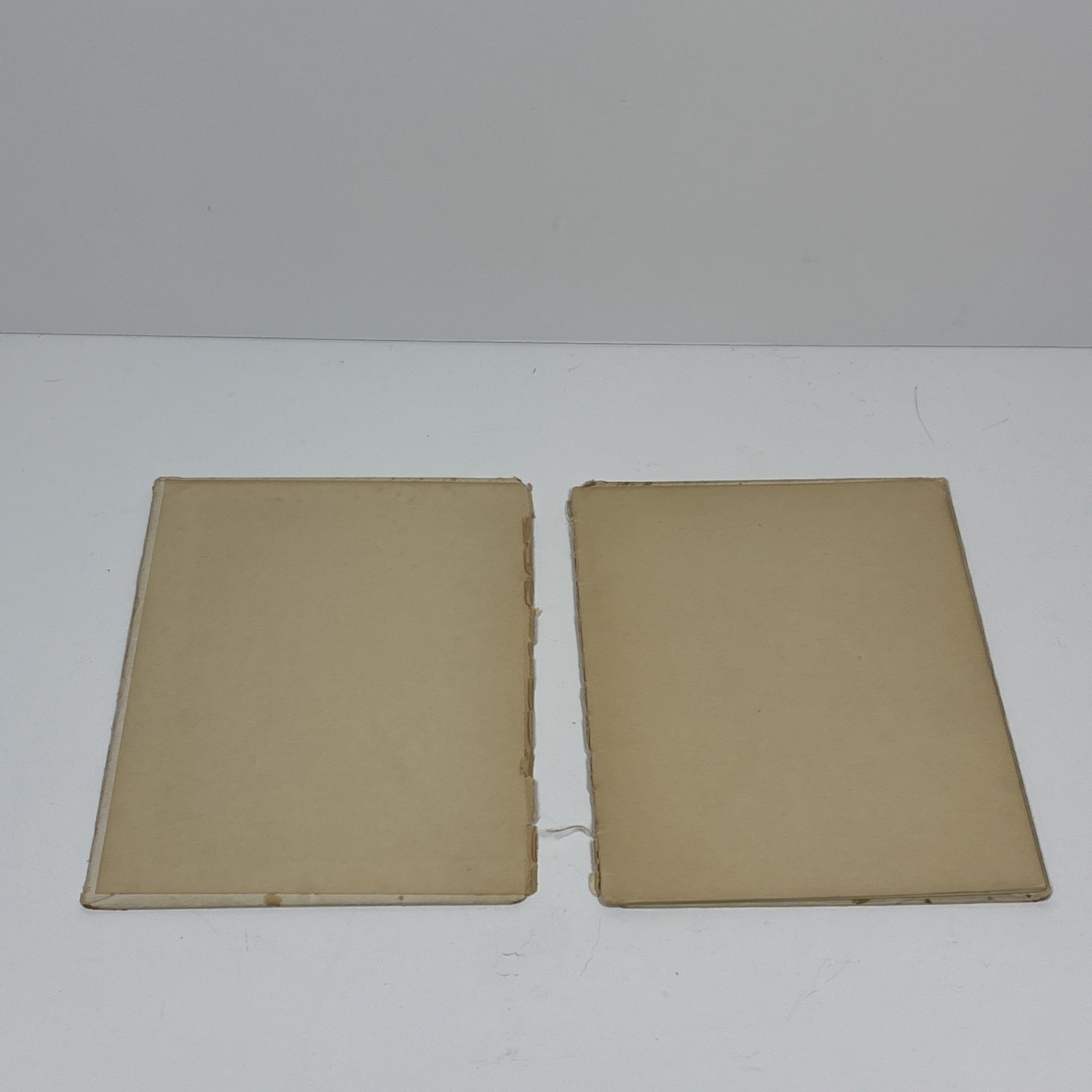 2 Cupples & Leon Books 1900s HC Inspirational Quotations Booklets 🌺 Friendship