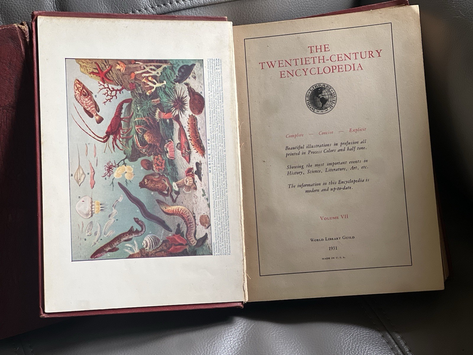 Beautiful embossed red hardcovers from 1931. Volumes VII & X