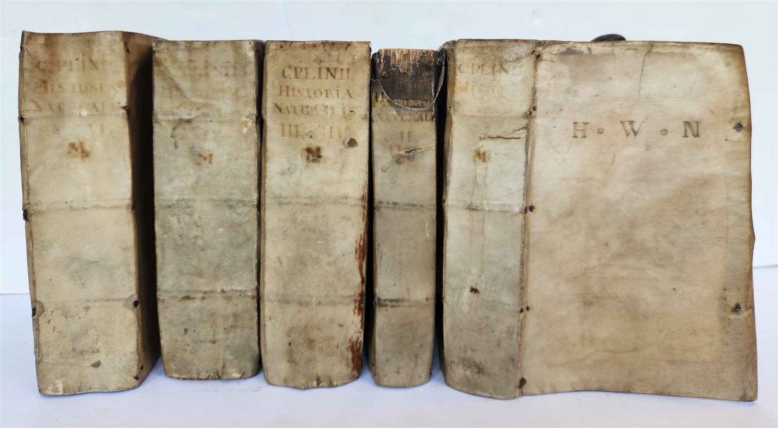 1565 PLINIUS encyclopaedia of natural history 5 VELLUM BOUND VOLUMES 16c ANTIQUE