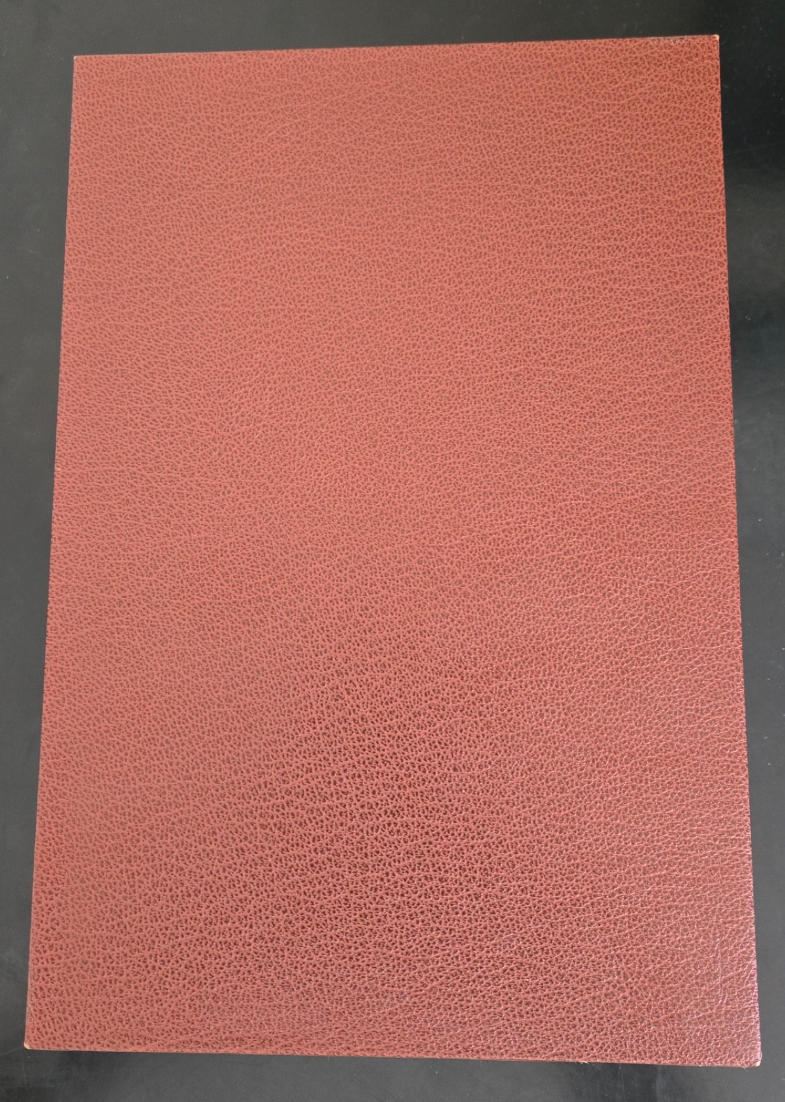 Joan Samson The Auctioneer HC Suntup Signed Limited edition Artist Book NEW OOP