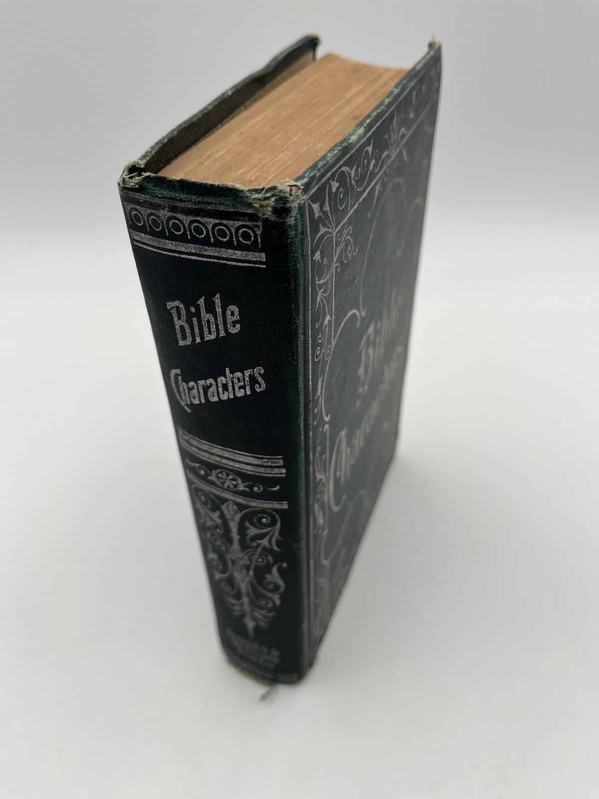 Bible Characters 1905 Rhodes McClure Gustave Doré Illustrated Christian Sermons