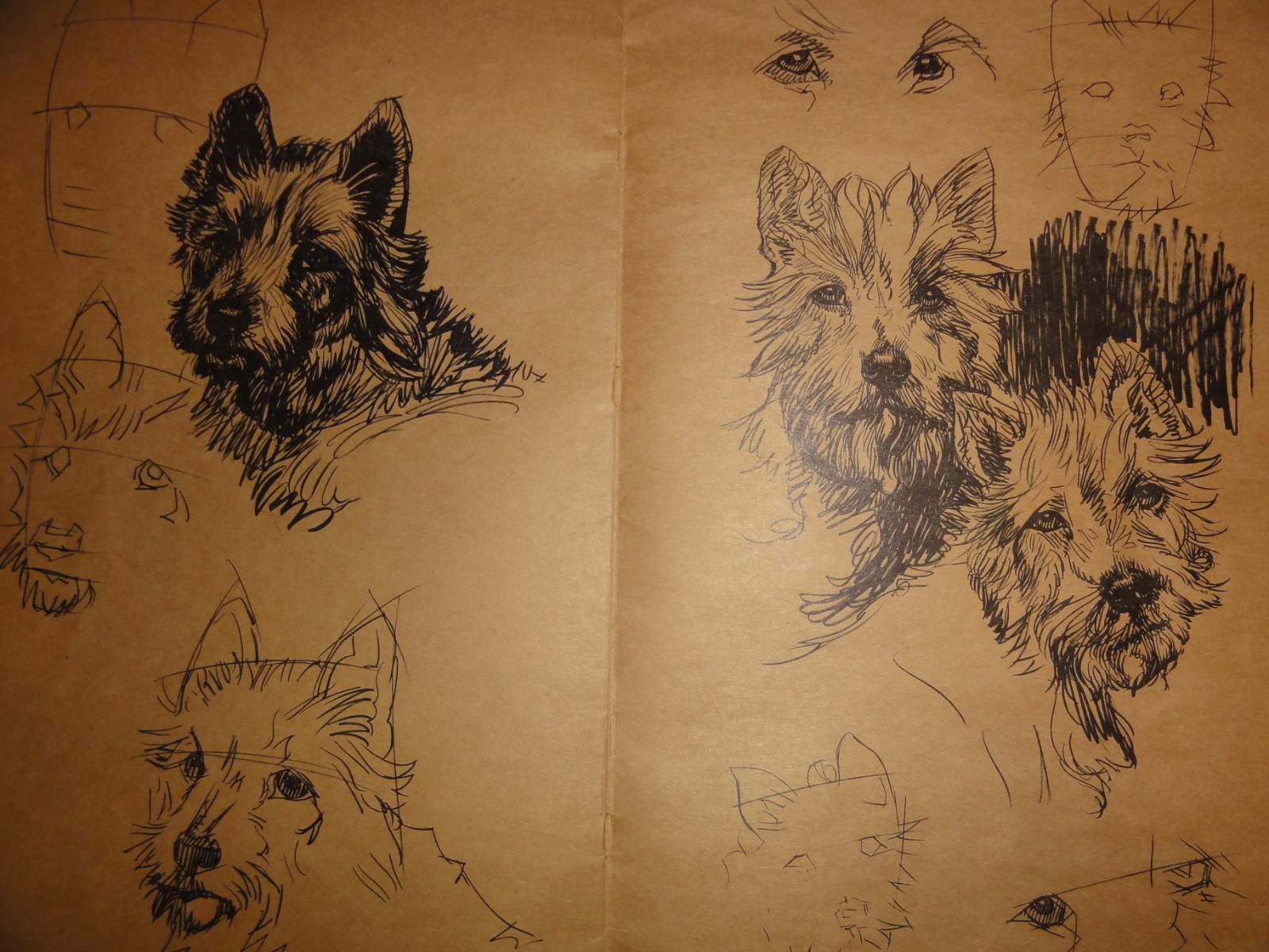 VERY OLD “HOW TO DRAW ANIMALS” BY WALTER T FOSTER, CIRCA UNKNOWN!