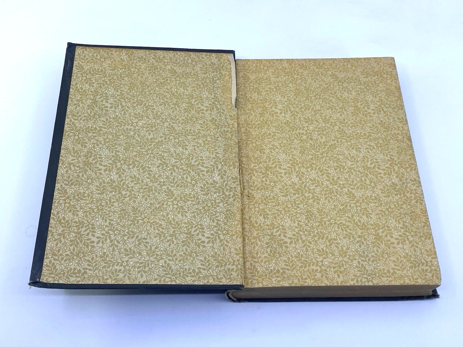 The Book of Algoonah: History of Early People of America 1884 Lost Race SIGNED?