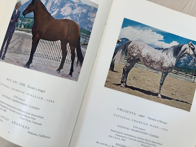 Arabian Horse Yearbook 1962 IAHA Vol X Arabian Horse Books / Memorabilia