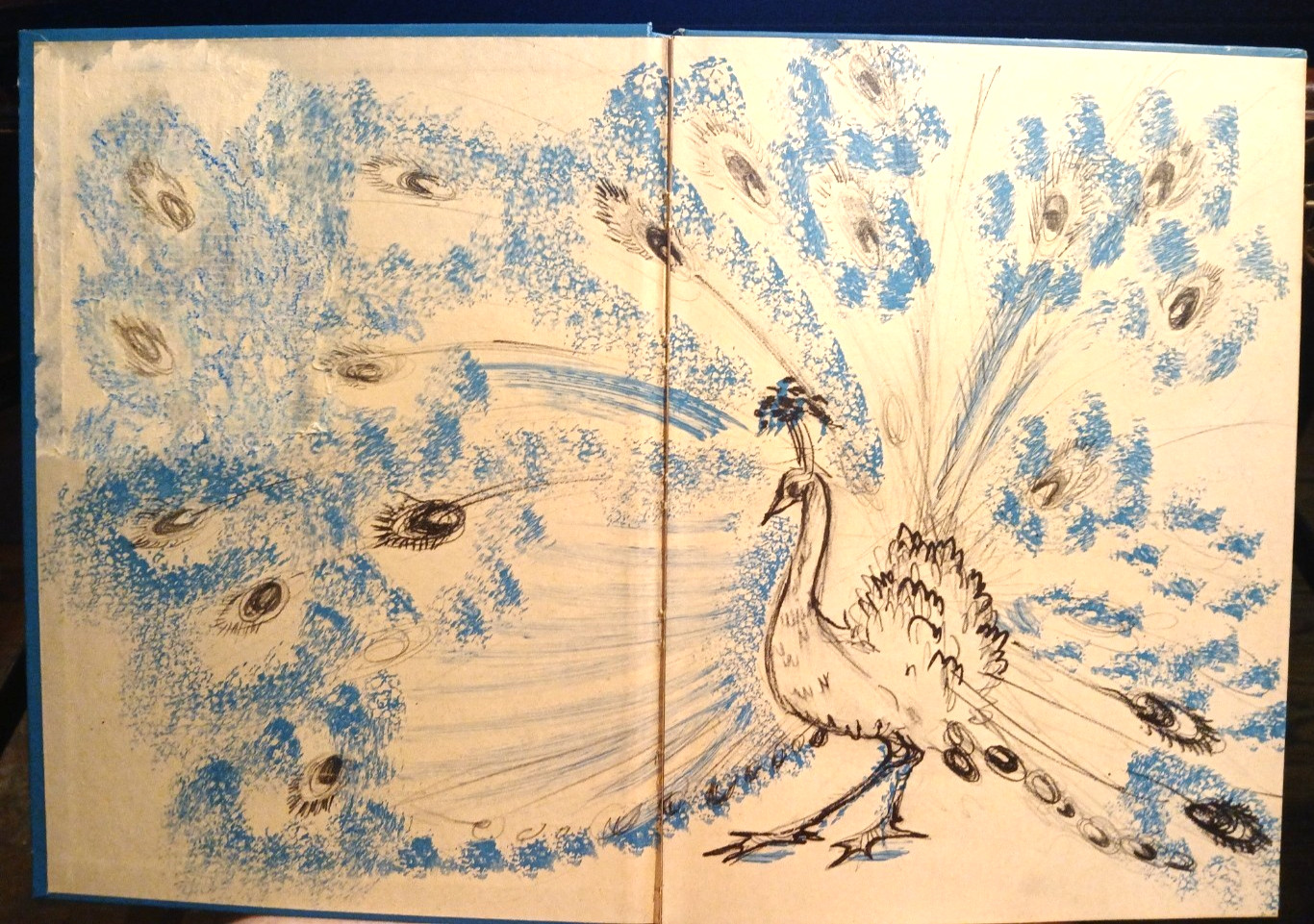 Vintage Book Suki & the Invisible Peacock Joyce Blackburn 1965