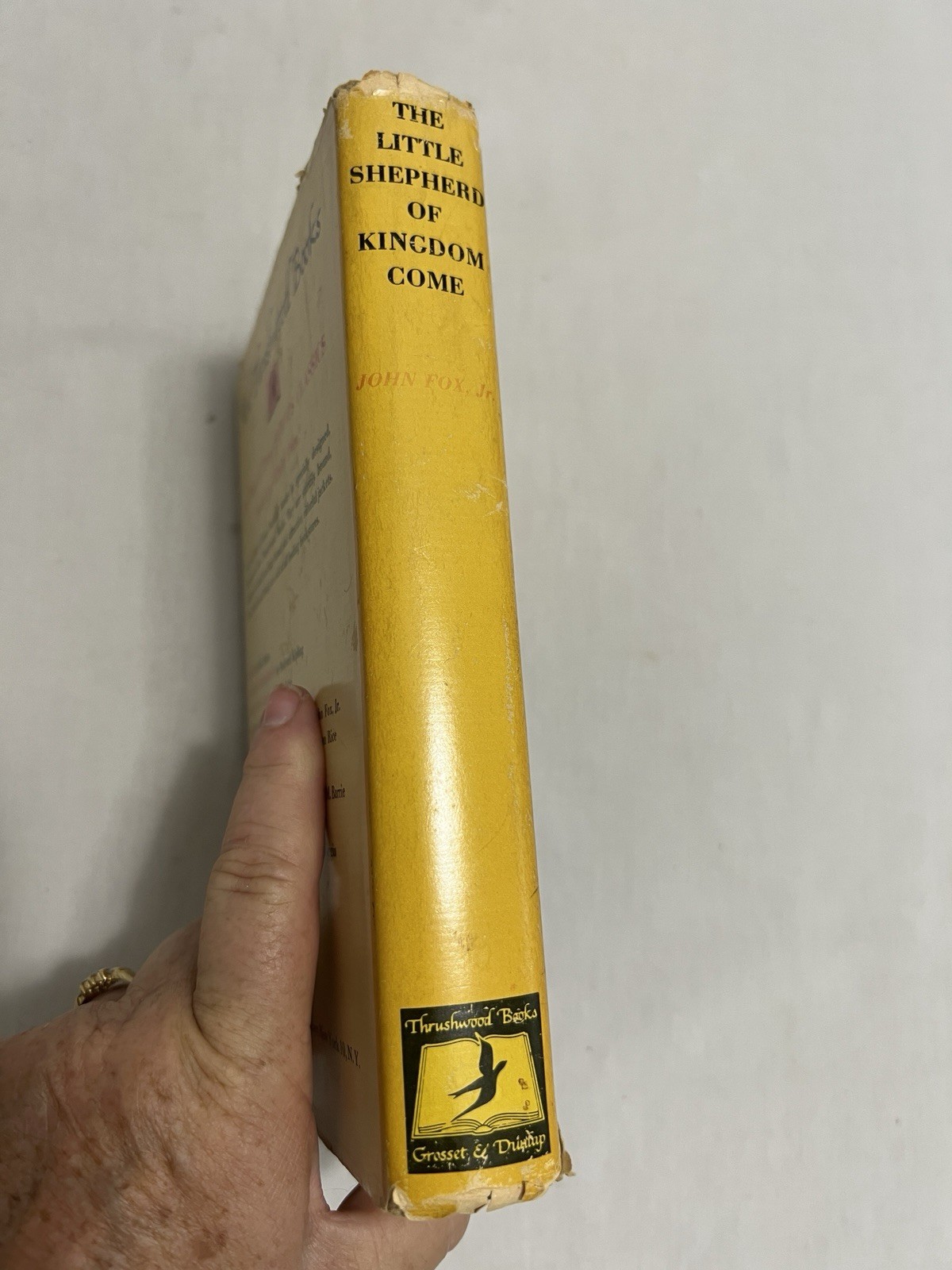 1931 THE LITTLE SHEPHERD OF KINGDOM COME by JOHN FOX JR. juvenile fiction