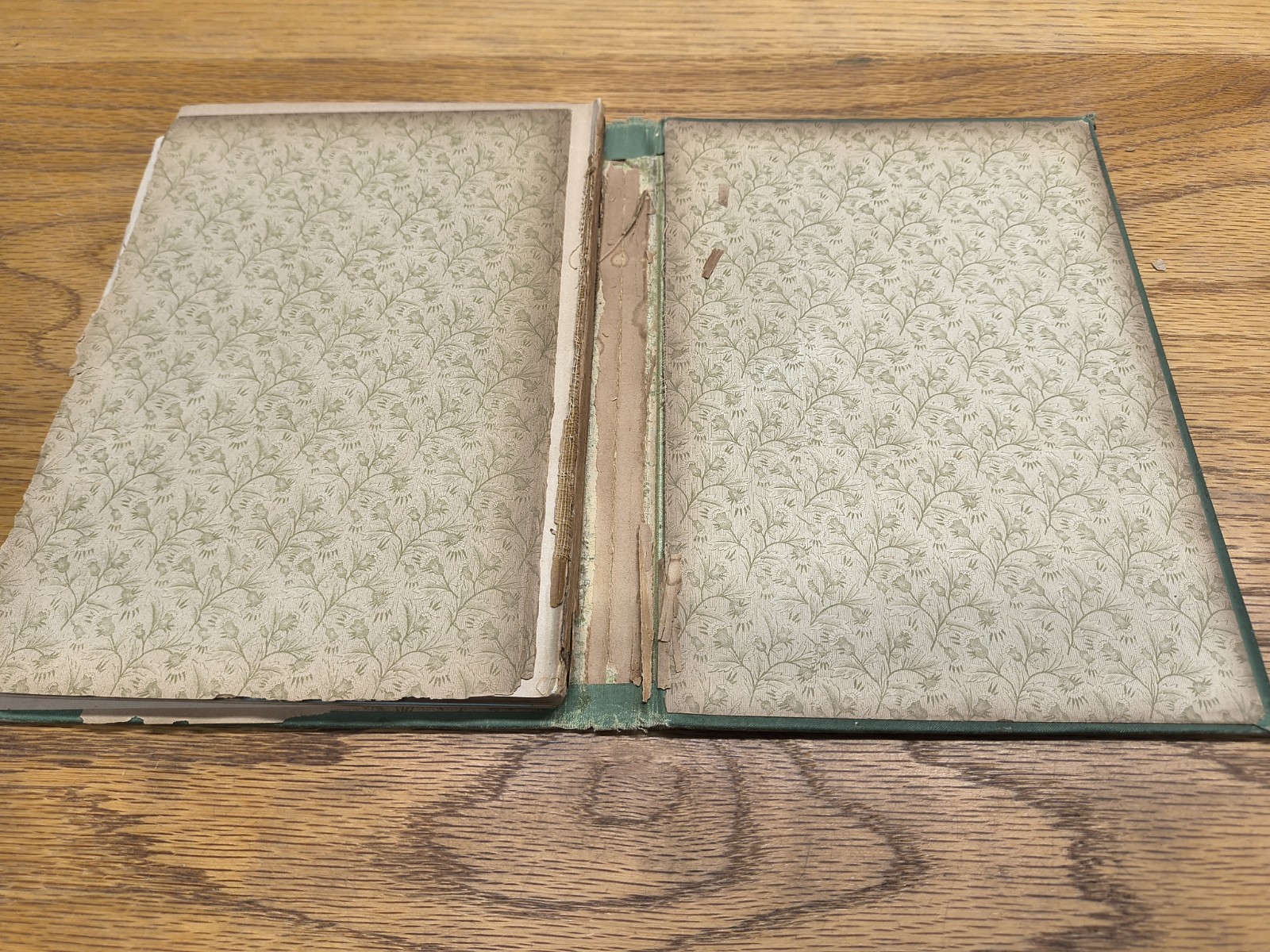 Vintage Religious Book Christ Our Saviour E.G. White 1897 Review Herald