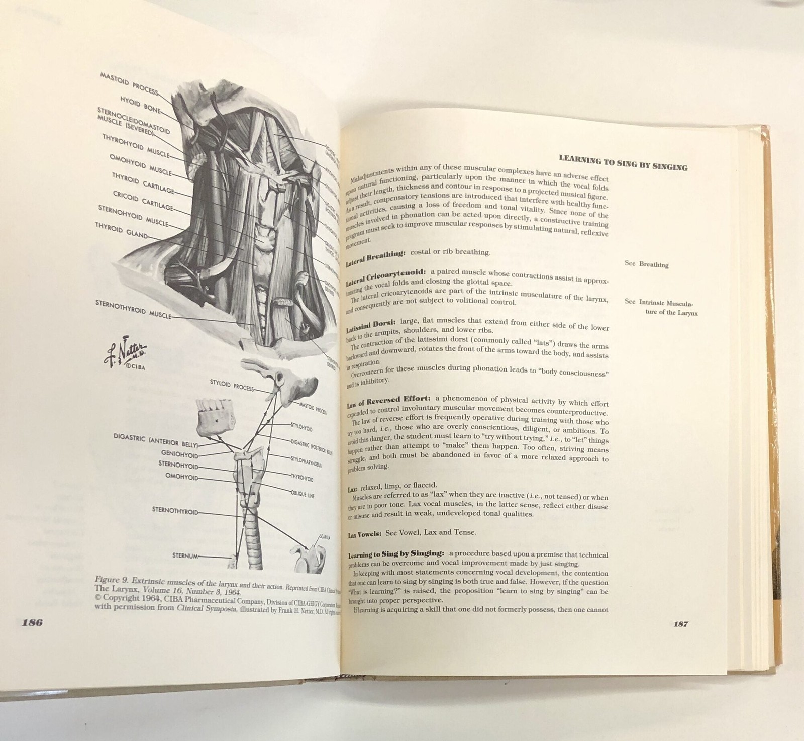 Cornelius L Reid / A Dictionary of Vocal Terminology An Analysis 1983