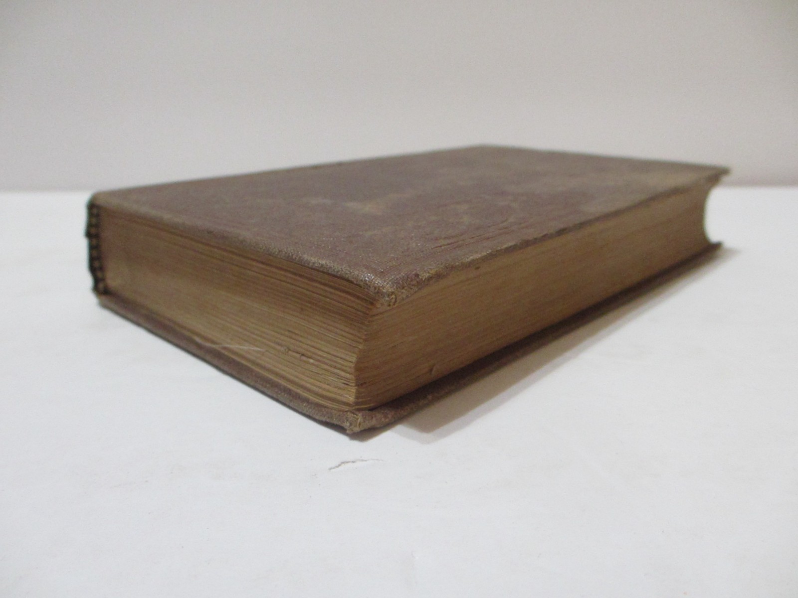 RARE 1866 ANTIQUE BOOK SEA SHELLS FRANK’S SEARCH FOR CONCHOLOGY STUDY ENG PLATES