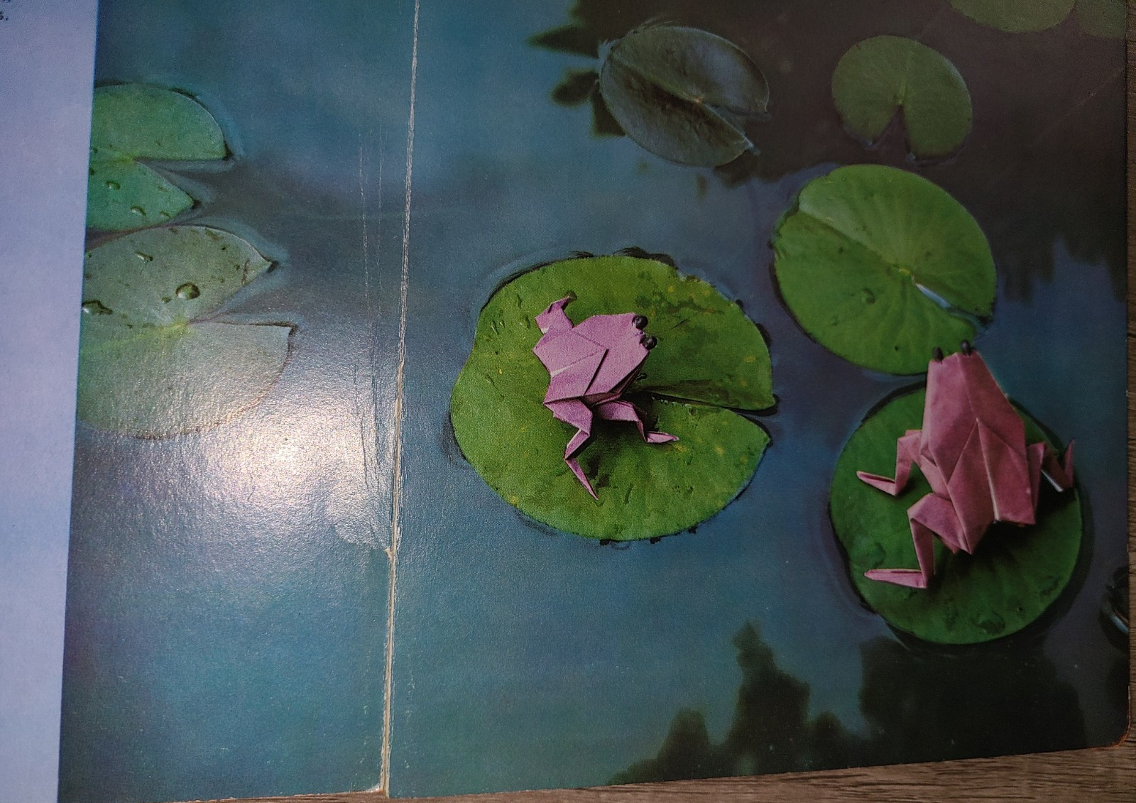 Vtg board book, My Origami Animals and Fishes, A Do-it-yourself Paper Menagerie