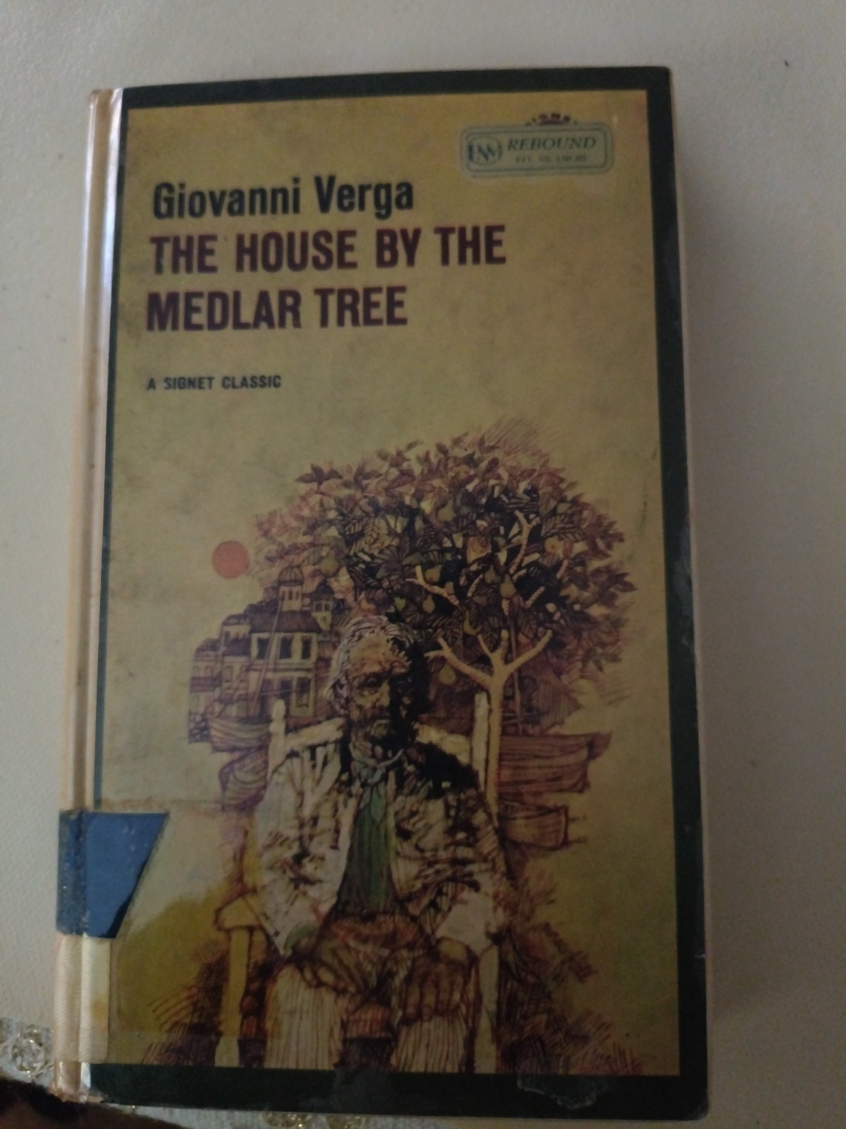 The House by the Medlar Tree by Giovanni Verga