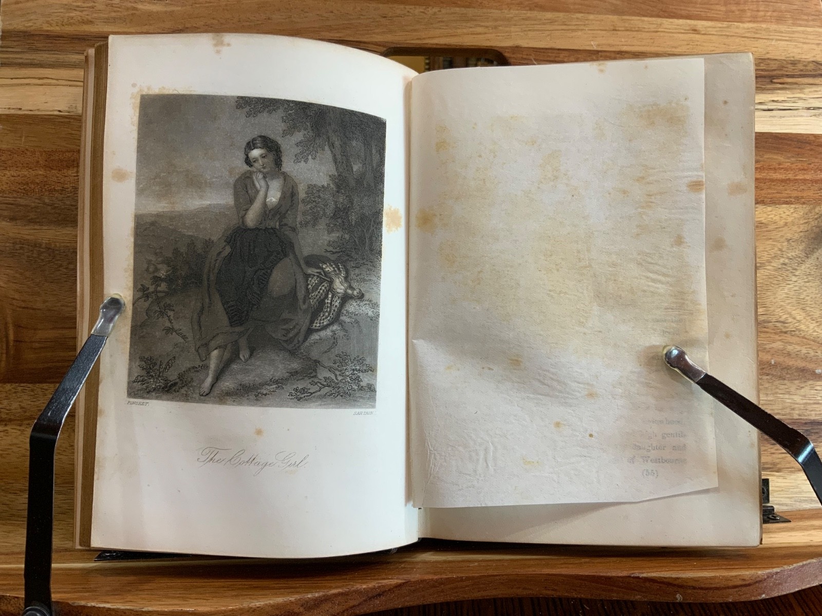 C. 1855 The Garland Token of Friendship Gift Book Emily Percival Sartain Plates
