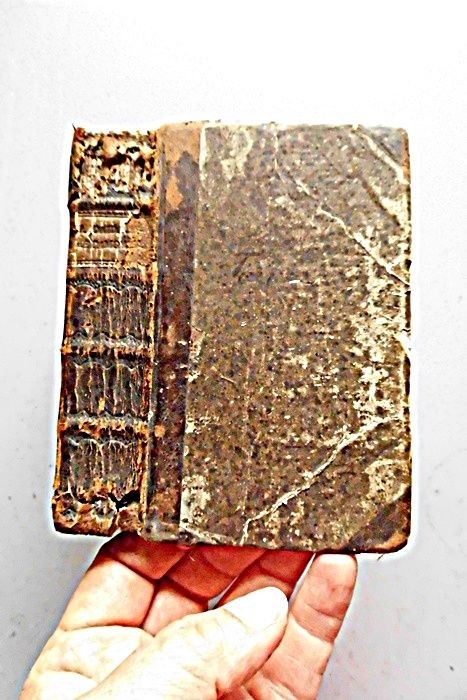 Pub. Ovidii Nasonis Metamorphose Libri XV Cum Notis Thomae Farnabjj Farnabjj: