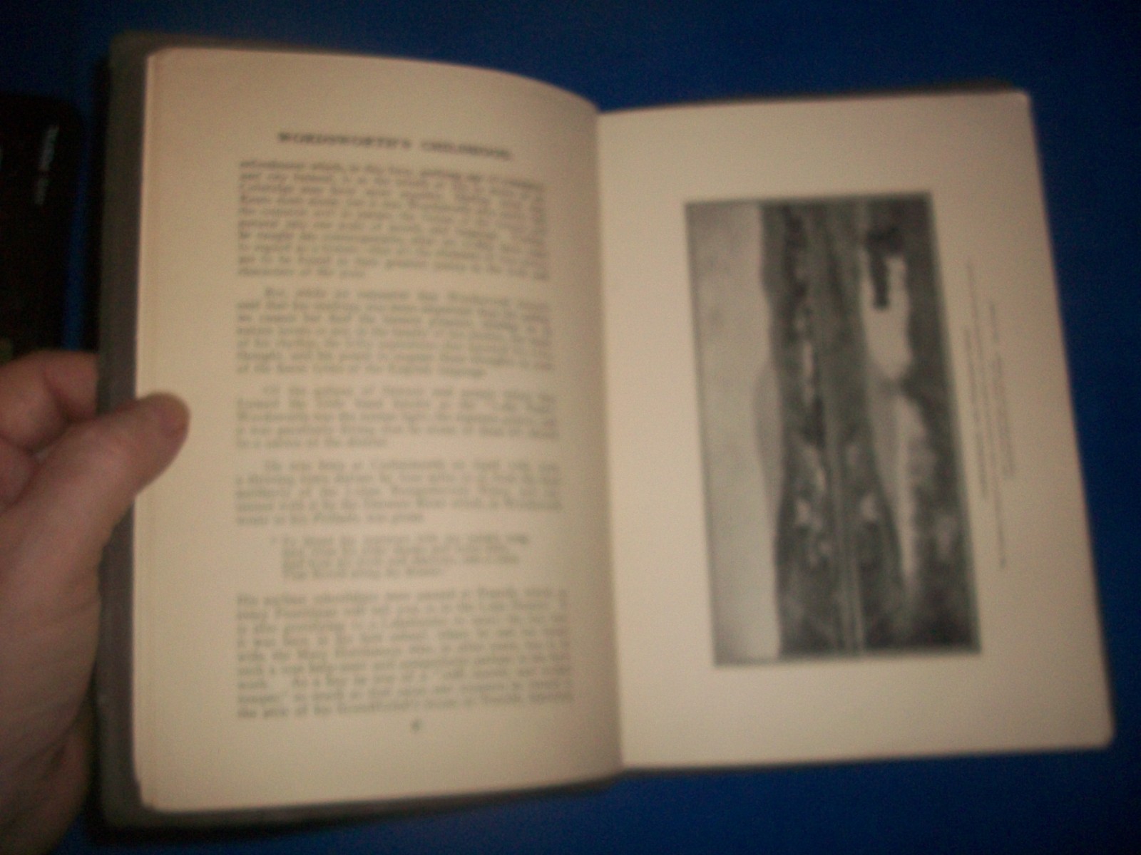 Some Portraits of the Lake Poets and their Homes 1920 English String Bound Book
