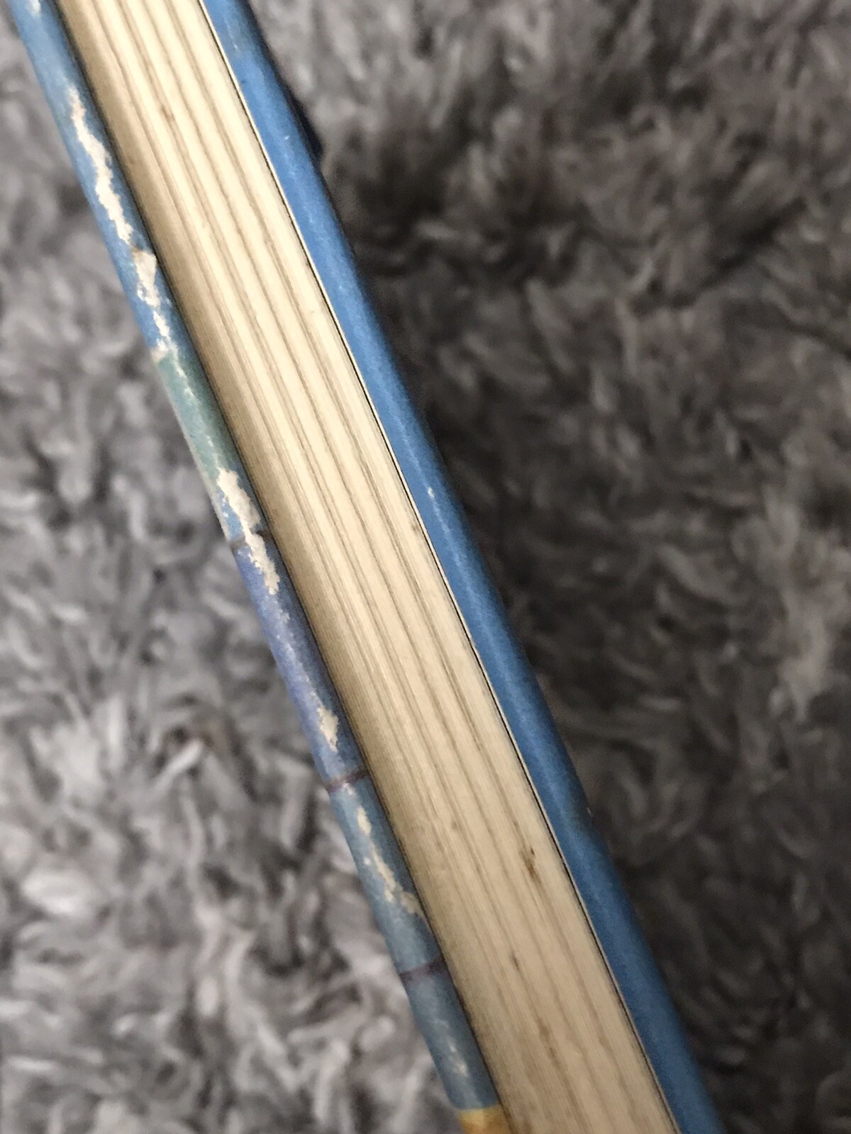 Two in the House (Brock books) – Helen Morgan 1965 First edition. Signed