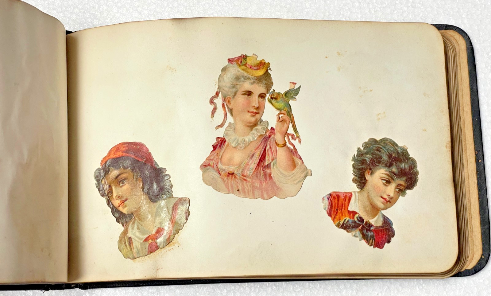 1870s Autograph Book / Cincinnati OH High School / Original Art / Die Cuts /1880