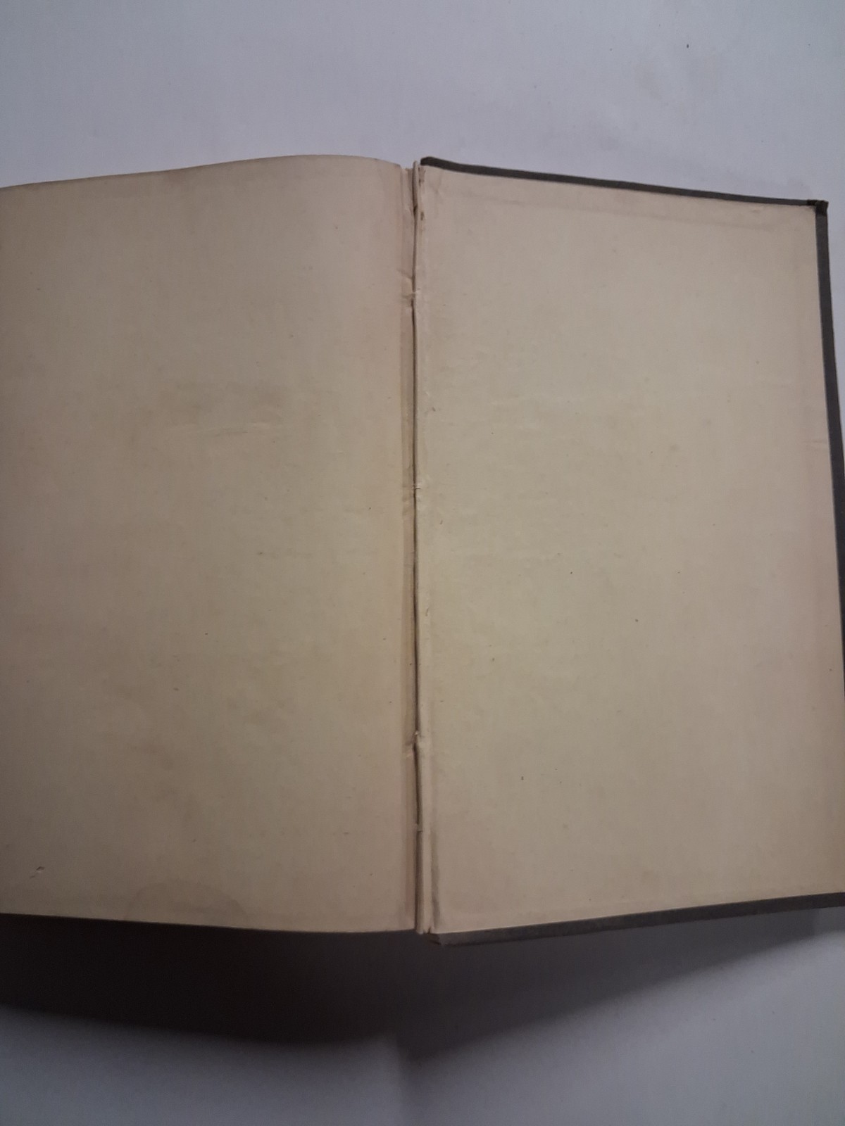 1866 WOMEN OF THE SOUTH Mary Forrest ANTEBELLUM Distinguished In Literature